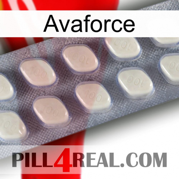 Avaforce 08